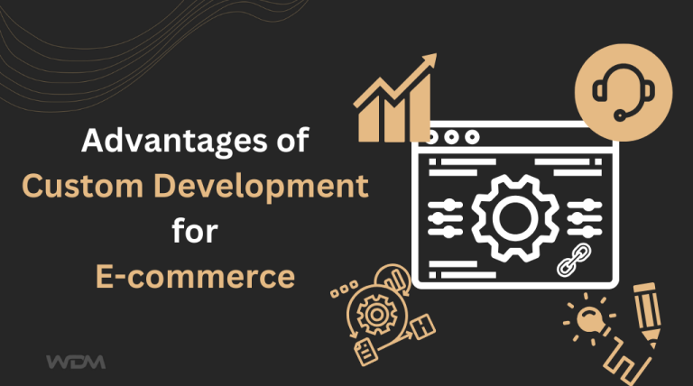 Custom Development for Ecommerce