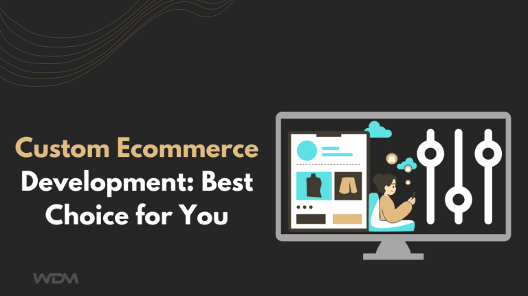 custom ecommerce website development