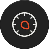 Performance and Speed icon