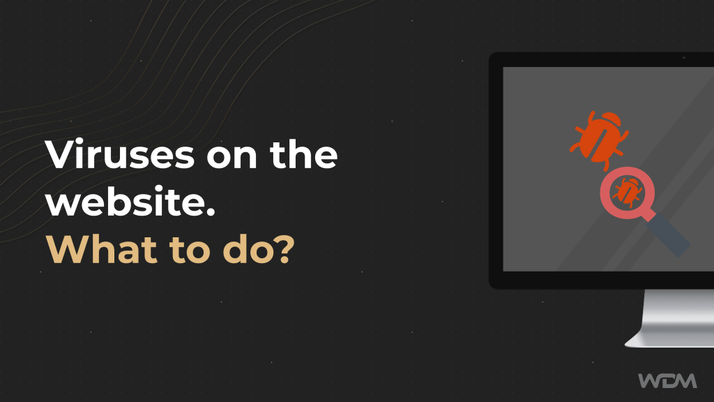 Viruses on the website – what to do?