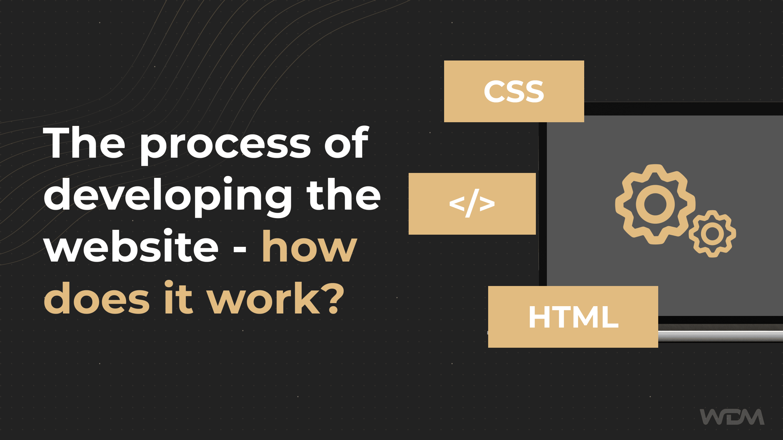 The process of developing the website – how does it work?