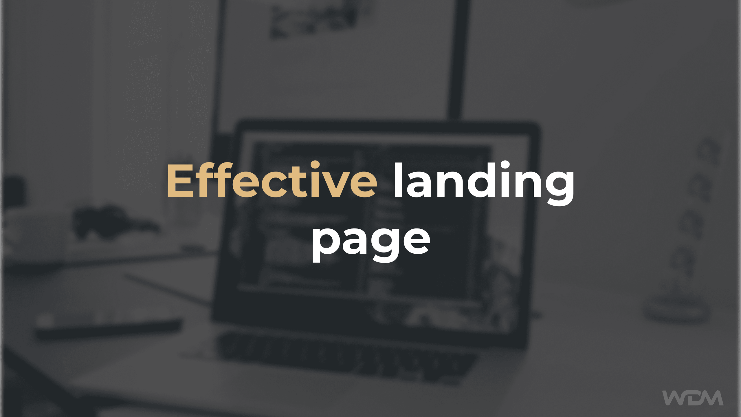 Effective and attractive landing page.