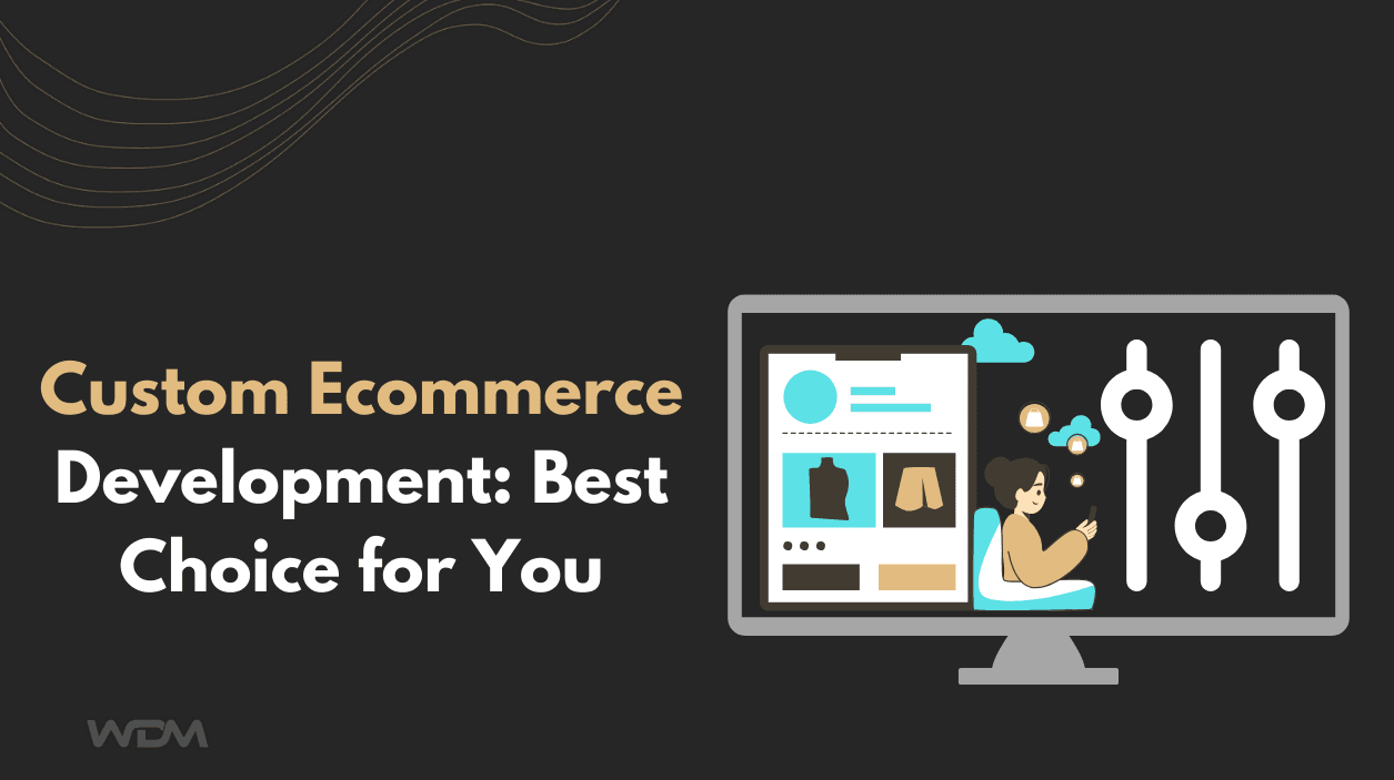 Custom Ecommerce Website Development: Best Choice for You