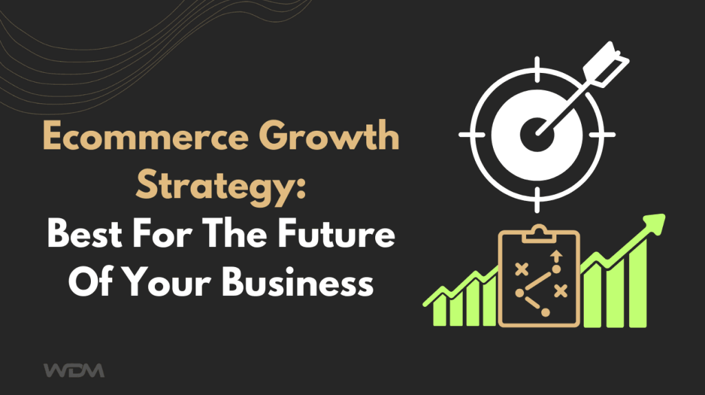 Ecommerce Growth Strategy: Best For The Future Of Your Business