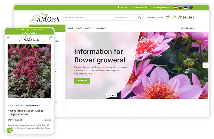 Beyond the Heroics: How We Re-Engineered AM Ozoli for Scalable Success