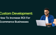 Custom Development: How To Increase ROI For Ecommerce Businesses