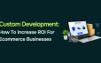 Custom Development: How To Increase ROI For Ecommerce Businesses