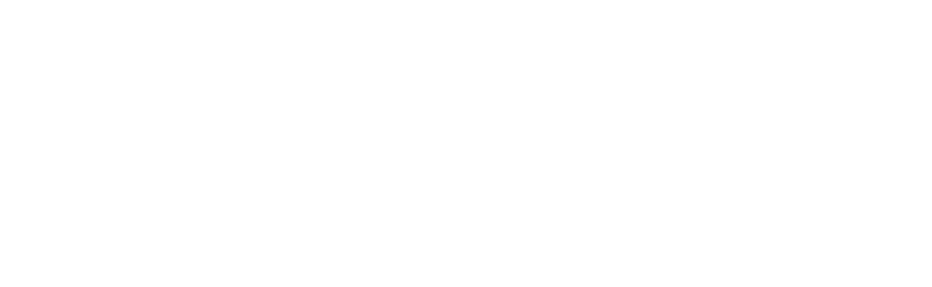 BAVA banner