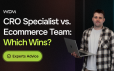 CRO Specialist vs External Ecommerce Team: Which Is Right for an Established Store?