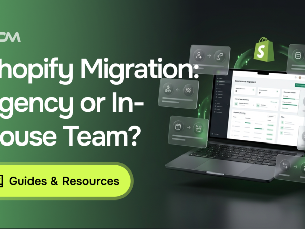 Shopify Migration Agency vs. In-House Team: Which Is Right for Your Store?