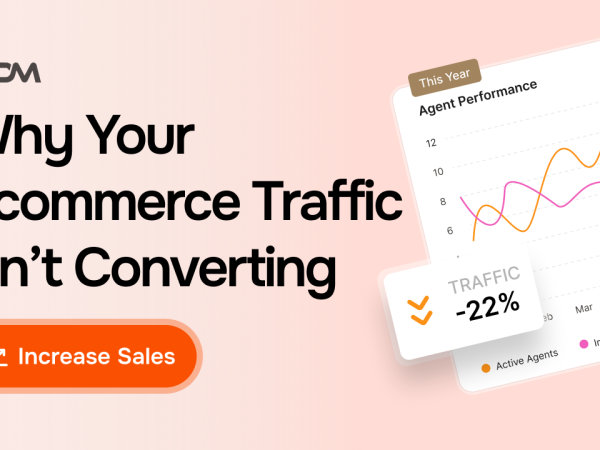 Why Your Ecommerce Store Has Traffic but Conversion Has Plateaued