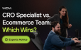 Four Internal Ecommerce Hires or One Ecommerce Agency?