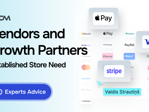 Ecommerce Growth Partner vs Vendor: What an Established Store Actually Needs