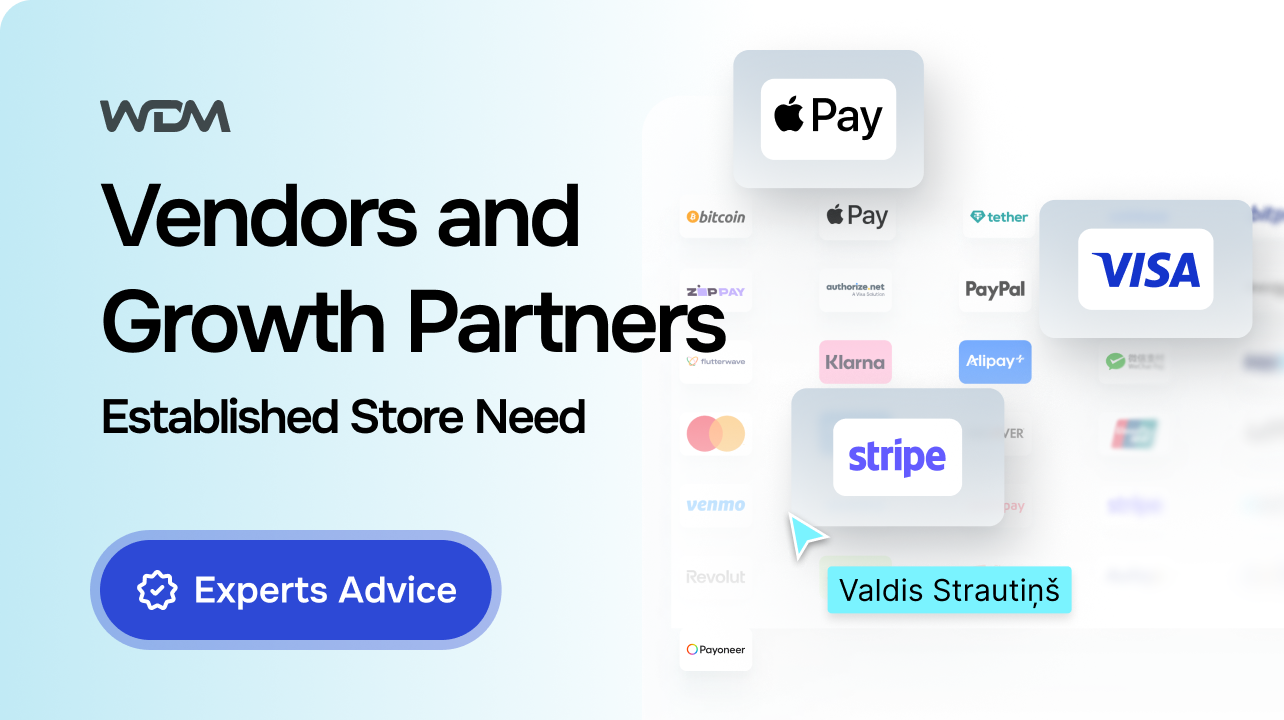 Ecommerce Growth Partner vs Vendor: What an Established Store Actually Needs