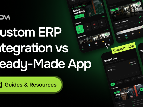 Custom ERP Integration vs Ready-Made App: Which Should You Choose?