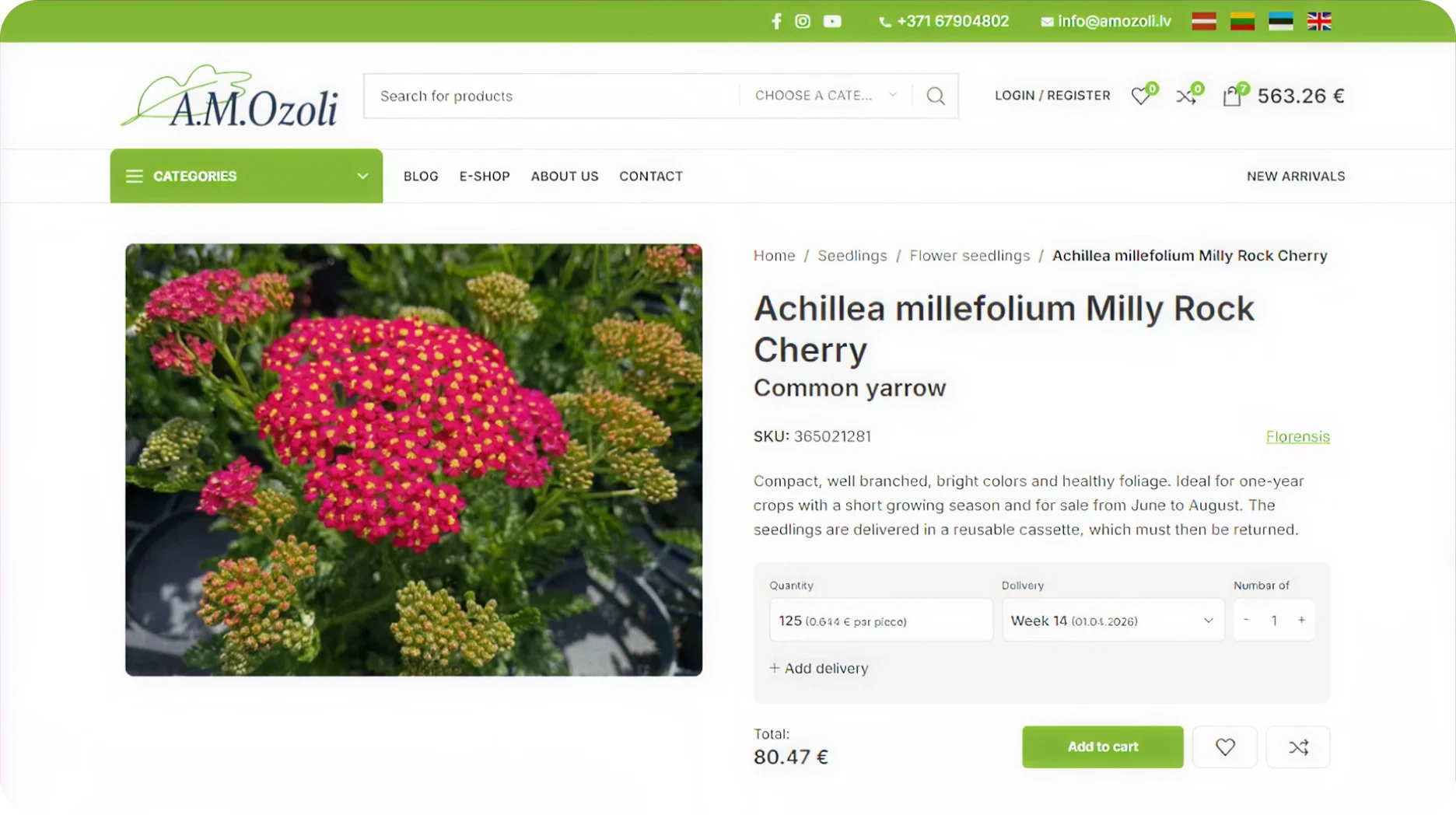 AM Ozoli online store